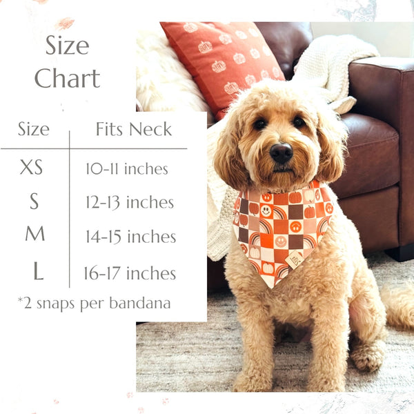 Fall Checker - Dog  Bandana