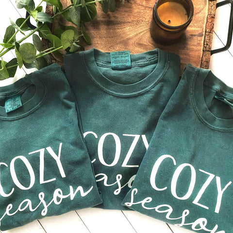 Cozy Season Long Sleeve T-Shirt